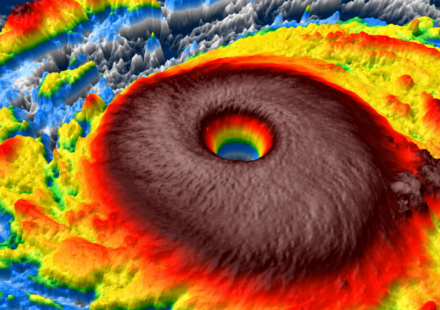 champi storm