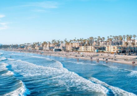 shutterstock 2624601151 1 1 1024x683 1